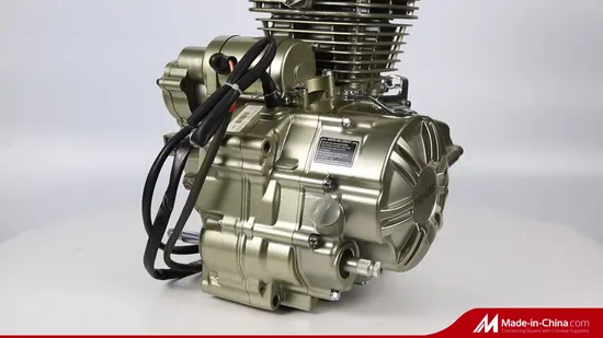 Motorcycle Body/Transmission/Body for 50/70cc/110cc/125cc/150cc/Cg125/Gn125/Bm150/Suzuki/YAMAHA/Hondo/Bajaj/Tvs/Scooter/Dirt Bike/Tricycle Engine Spare Parts 