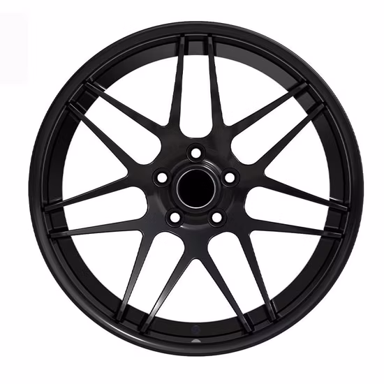 Efy Hot Selling Monoblock Forged Alloy Rim for Alfa X5 Gtr Made in T6061 Aluminum Alloy